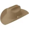 El-Gat-Amb-Botes-Platja-Daro-Shop-Online-Bailey-Lightning-4X-W0604A-Fawn