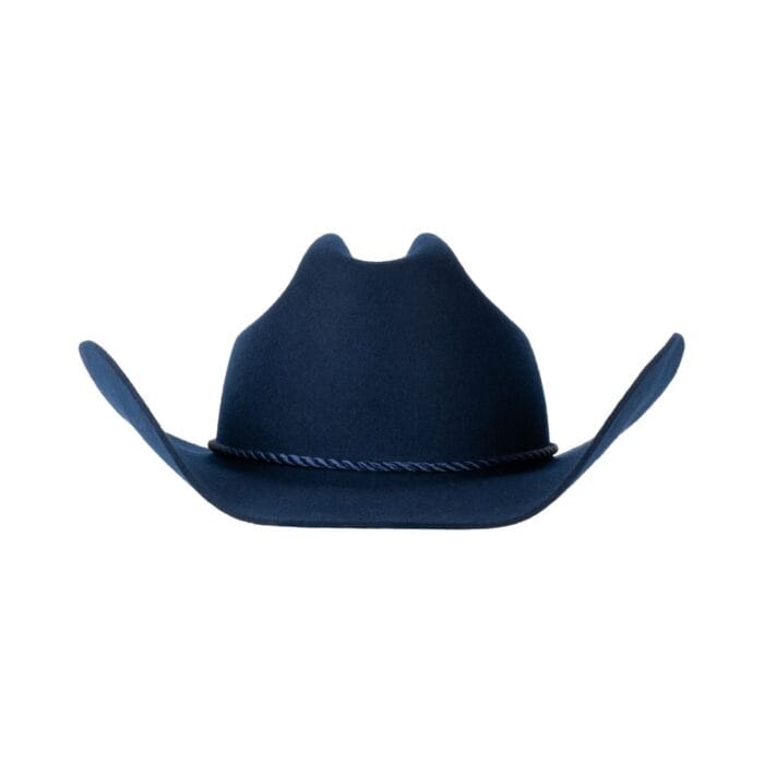 El-Gat-Amb-Botes-Platja-Daro-Shop-Online-Sombreros-FernandezyRoche-20409-Toro-25-Caspio